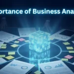 Importance of Business Analysis