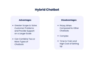 Hybrid customer service model 